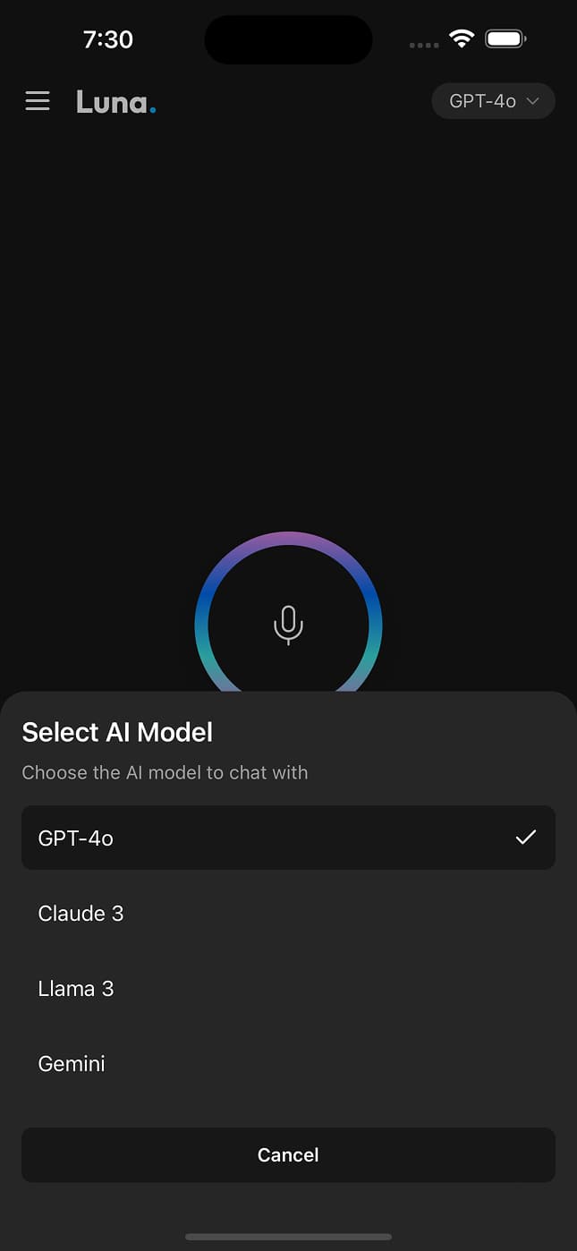 Chat Interface