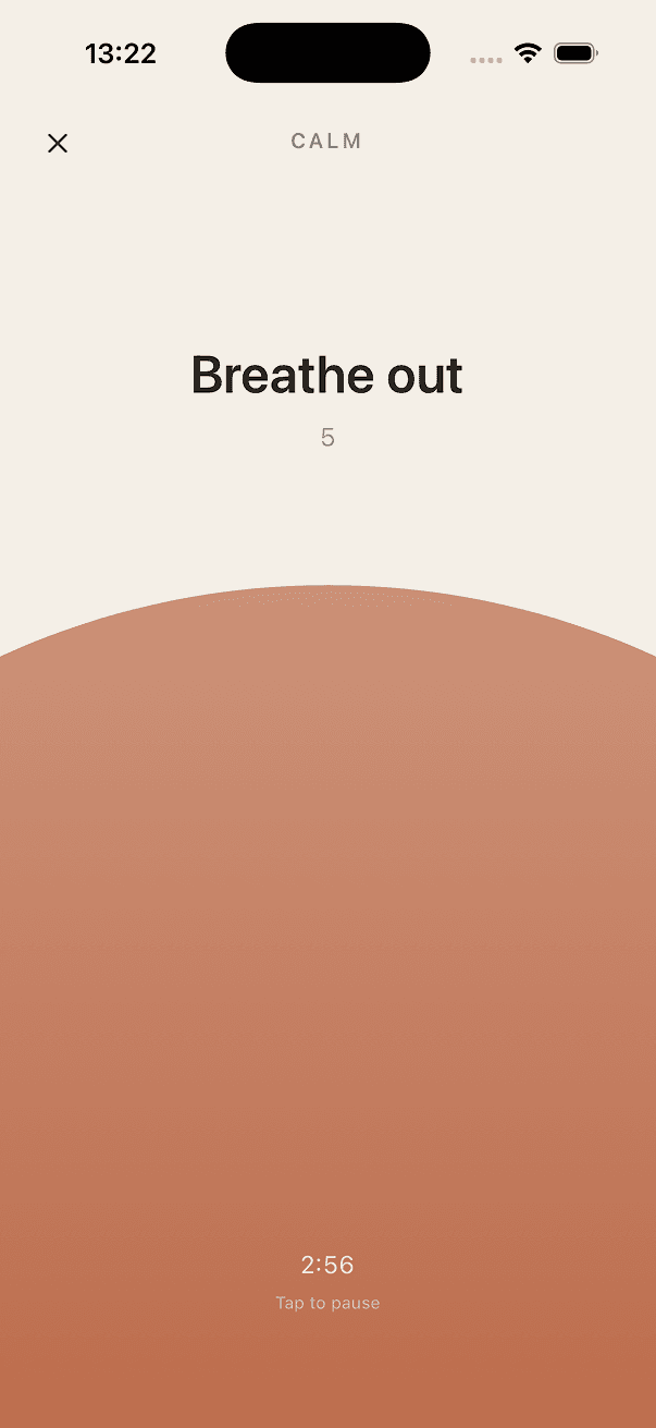 Zen animated breathing exercise screen